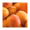 New BOTANIC® Abricotier Doucoeur® Anderheart. En racine nue, forme 1/2 tige calibre 8/10