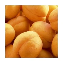 Hot BOTANIC® Abricotier Rustique Des Pyrenees ® Bourqui. Le pot de 12 litres, forme gobelet