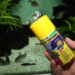 Hot JBL Aliment en comprimés pour corydoras Pronovo Tab M – 100 ml