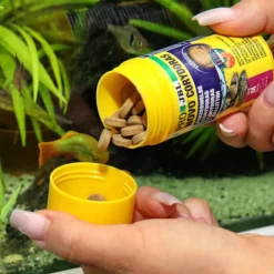 Hot JBL Aliment en comprimés pour corydoras Pronovo Tab M – 100 ml