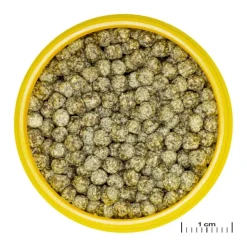 Sale JBL Aliment en granules pour poisons rouges Pronovo red grano M – 100 ml