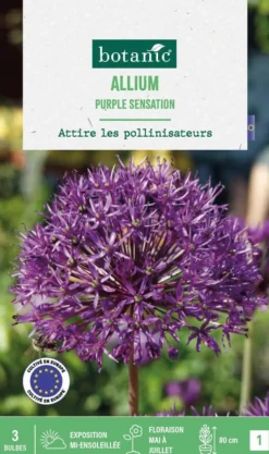 Online BOTANIC® Allium purple sensation en mélange - 3 bulbes