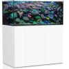 Sale BLUE CORAL Aquarium 405 litres + meuble + filtration en verre