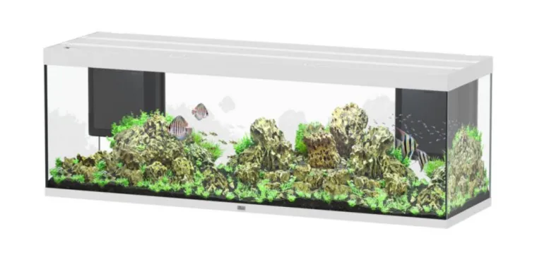 Best AQUATLANTIS Aquarium coloris blanc Sublime Ultra LED 2.0 675 L - 200 x 60 x 70 cm