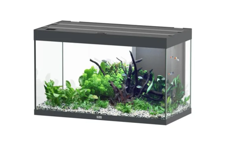 Clearance AQUATLANTIS Aquarium coloris gris Sublime Ultra LED 2.0 245 L - 100 x 50 x 60 cm