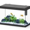 Discount AQUATLANTIS Aquarium d'eau froide et d'eau douce coloris noir Explorer Vienna 34 L - 35 x 50 x 25 cm