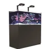 New RED SEA Aquarium eau de mer avec un meuble coloris noir certifié FSC® Reefer™ Deluxe XL 425 - 120 x 57,5 x 142 cm