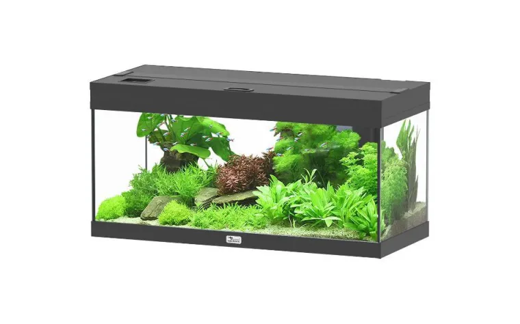 Online AQUATLANTIS Aquarium Prestige 80 coloris noir - 85 L
