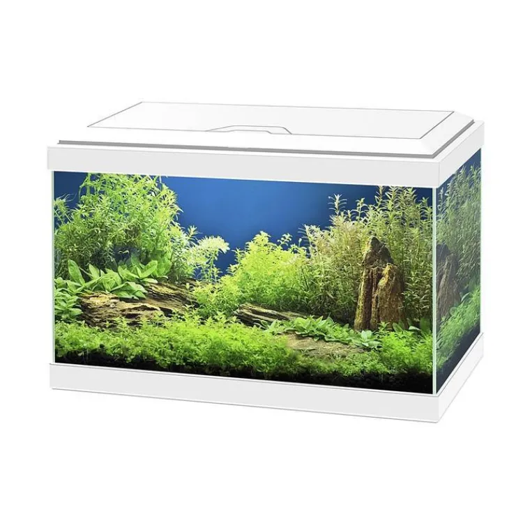Sale CIANO Aquarium équipé Aqua 20 light blanc - 17L