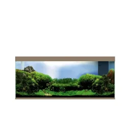 Discount CIANO Aquarium équipé Emotions Pro Mystic - 300 L
