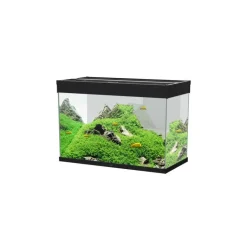 Clearance CIANO Aquarium équipé Émotions Pro 80 noir - 142L