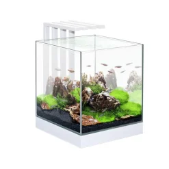 Sale CIANO Aquarium équipé Nexus 25 LED blanc - 22L