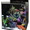 Online BLUE MARINE Aquarium reef 90