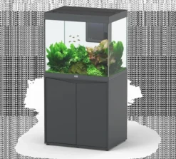 Discount BLUE CORAL Aquarium tout équipé, Gris anthracite mat - AQUATLANTIS Volga 200 - 242L