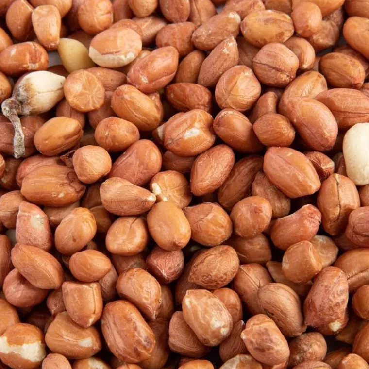 New GASCO Arachides décortiquées 4 kg