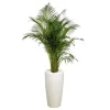 Sale Areca lutescens et son pot Rondo premium Ø 40 blanc