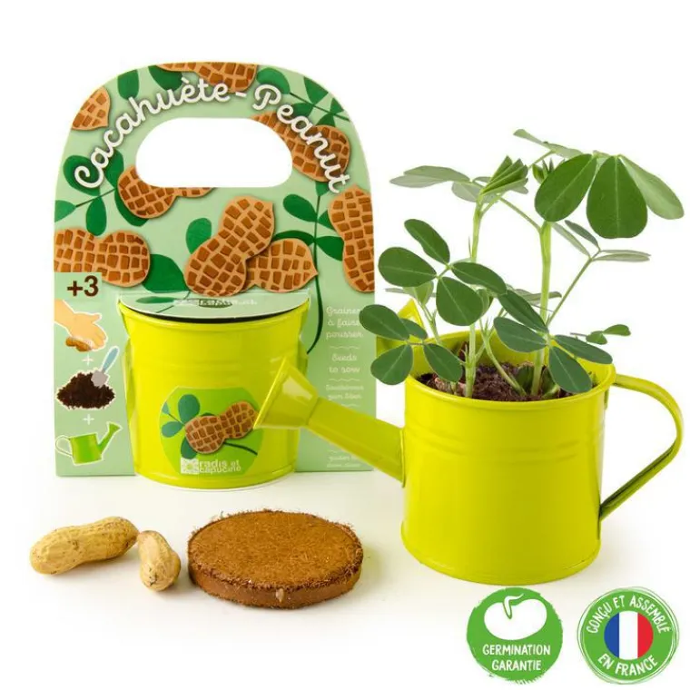 Discount RADIS ET CAPUCINE Arrosoir en zinc vert avec graines de cacahuètes