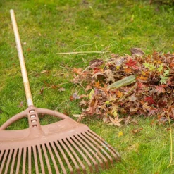 Clearance BOTANIC® Balai à gazon fil plat renforcé marron