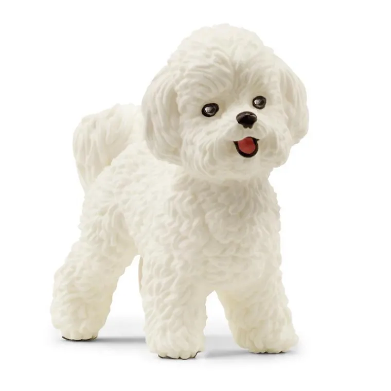 Discount SCHLEICH Bichon frisé multicolore - 4.4 cm