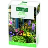 Clearance BOTANIC® Boite de bulbes de fleurs en mélange pour balcon et terrasse – 32 bulbes