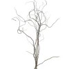 Botte de Salix Tortusa 5 branches - 100/120 cm