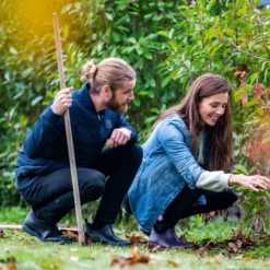 Outlet BLACKFOX Bottillons Oregon Aubergine