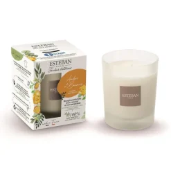 Online ESTEBAN PARIS Bougie parfumée rechargeable Ambre et Baumes Esteban - 180 g