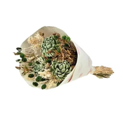 Online NATURALYS Bouquet de fleurs séchées Sola M coloris vert - H 50 cm