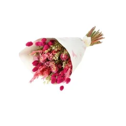 New NATURALYS Bouquet de fleurs séchées Trendy Pink coloris rose - H 50 cm