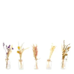 Clearance Bouteille fleur séchée coloris multicolore en verre