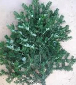 Best Branche de sapin Nordmann vert pour décoration de Noël - 100/120 cm