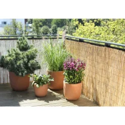 New BOTANIC® Brise vue en paillon fin pelé 500 x 200 cm