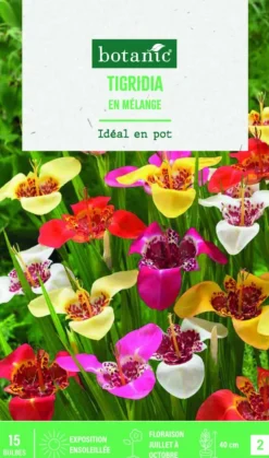 Sale BOTANIC® Bulbes de fleurs Tigridia en mélange – 15 bulbes