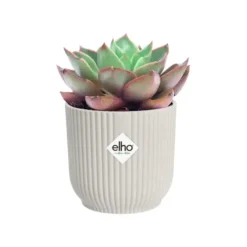 Discount ELHO Cache-pot blanc soie Vibes Fold Mini - Ø 7 cm