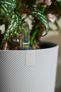 Online ELHO Cache-pot coloris blanc Jazz - Ø 19 cm