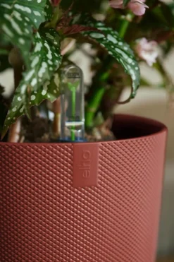 Hot ELHO Cache-pot coloris rouge Jazz - Ø 19 cm