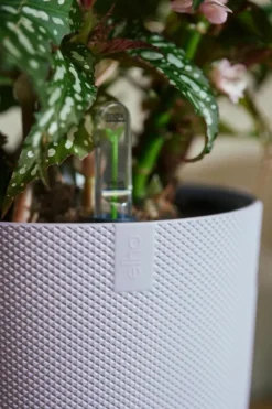 Discount ELHO Cache-pot coloris violet Jazz - Ø 14 cm