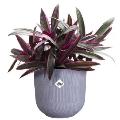 Discount ELHO Cache-pot coloris violet Jazz - Ø 14 cm