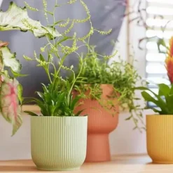 Outlet ELHO Cache-pot en plastique recyclé vert sorbet Vibes fold rond mini - Ø 11 cm