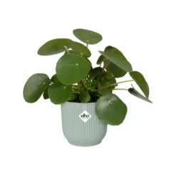 Sale ELHO Cache-pot en plastique recyclé vert sorbet Vibes fold rond- Ø 18 cm