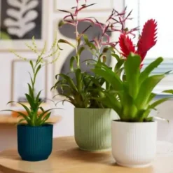 Best ELHO Cache-pot en plastique recyclé vert sorbet Vibes fold rond - Ø 14 cm