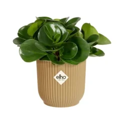 ELHO Cache-pot vibes fold Ø16 cm