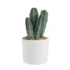 Hot BOTANIC® Cactus en pot émaillé blanc Ø 10 cm