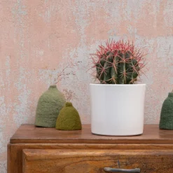 Outlet BOTANIC® Cactus mix en pot blanc émaillé, Ø 20cm