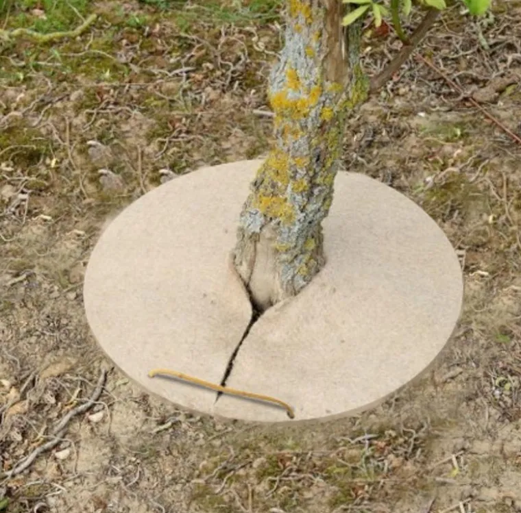 Best JANY Cercle de chanvre coloris beige 800gr/m² - Ø 30 cm