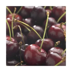 Clearance BOTANIC® Cerisier Big. De La St Jean ® Gardel Bio. Le pot de 12 litres forme gobelet