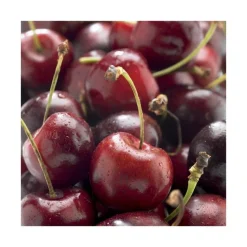 Online BOTANIC® Cerisier Big. Delice De Malicorne ® Agoudel Bio. Le pot de 15 litres