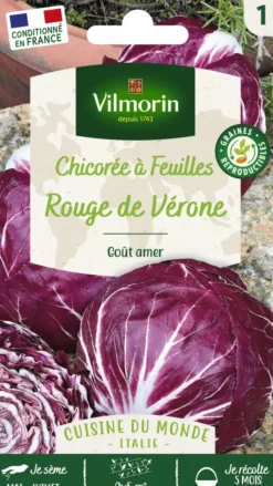 Online VILMORIN Chicorée à feuilles rouge de Vérone - graines à semer