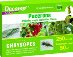 New DECAMP Chrysopes 250 larves