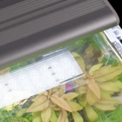 Clearance BLUE CORAL Éclairage LED universel 15W - AQUATLANTIS Univ LED Plus 286